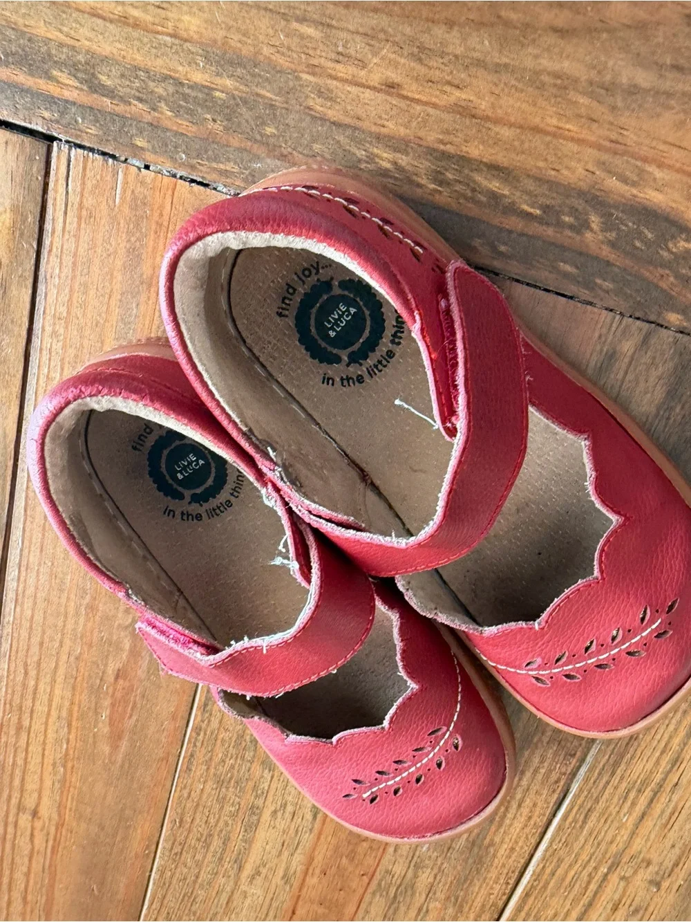 Livie & Luca classic mary